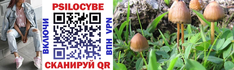 Псилоцибиновые грибы MAGIC MUSHROOMS  Новоаннинский 